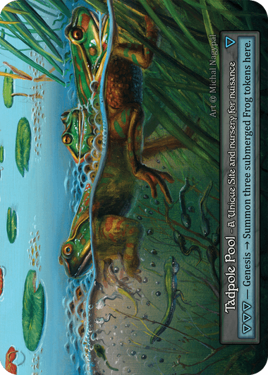 Tadpole Pool