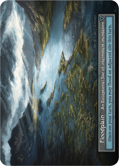 Floodplain (Foil)