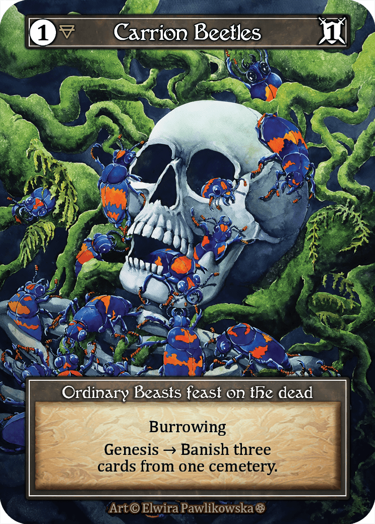 Carrion Beetles (Foil)